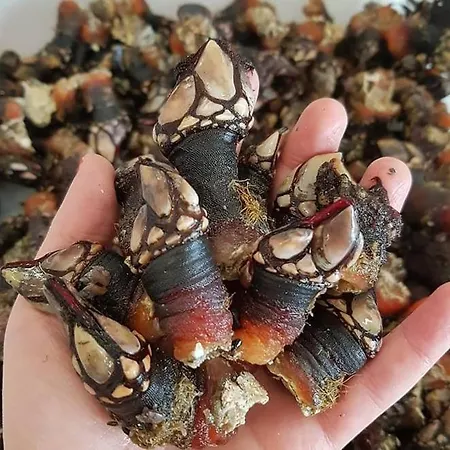 Atico, Maravillosas Vistas Al Mar